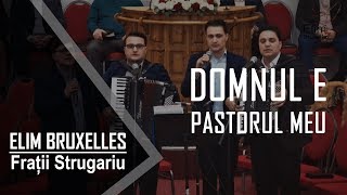 Fratii Strugariu  Domnul E pastorul meu [upl. by Iaj]