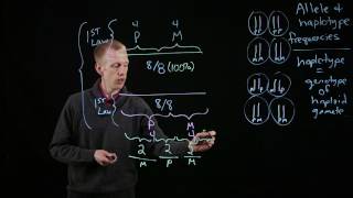 Allele and Haplotype Frequencies [upl. by Ergener]