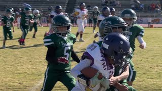 Lemoore Tigers Gold vs Dinuba Trojans First Round Playoffs [upl. by Elimay]