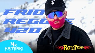 Perro Primo DTBilardo  Frio  Video Oficial Reggae 420 [upl. by Ingram]