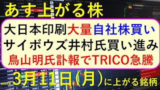 あす上がる株 2024年３月１１日（月）に上がる銘柄 ～最新の日本株での株式投資。初心者でも。鳥山明氏訃報でTRICO急騰。サイボウズを井村。大日本印刷の自社株買いと自己株消却～ [upl. by Engleman762]