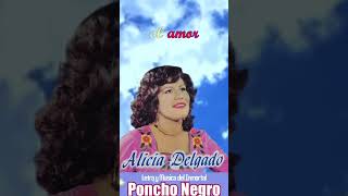 El Cielo esta nublado Alicia Delgado peru huayno harpist soloarpa elfolkloredemitierra [upl. by Yanel]