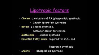 Lipotropic factors  Definition Types Mechanism of action Importance Clinical Use [upl. by Hnao912]