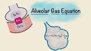 Alveolar Gas Equation  Alveolararterial Aa gradient  Respiratory Physiology [upl. by Asiilanna741]