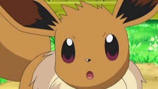 I Did an NSFW Speedrun of Every Eeveelution Rule 34 Compilation [upl. by Leseil]