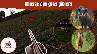 CHASSE aux GROS GIBIERS  SANGLIERS et CHEVREUILS en BRETAGNE [upl. by Ballou]