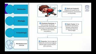 Contusión Miocardica ¿Cómo diagnosticarlas en urgencias [upl. by Frederique985]