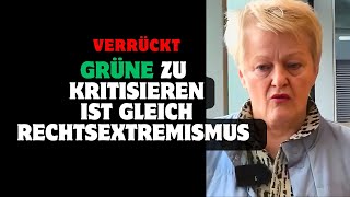 Grüne zu kritisieren ist gleich Rechtsextremismus [upl. by Aisatsanna478]