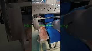 MNSQPJ100 Chicken Breast Slicing Machine [upl. by Plumbo]