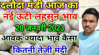 Dalauda mandi new ooty garlic rate 20 जनवरी 2023  new ooty garlic daloda mandi nai lahsun bhavuti [upl. by Llednahs]