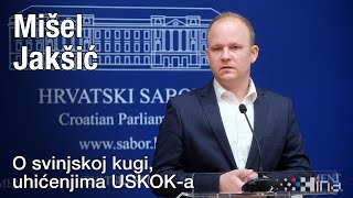 Jakšić O svinjskoj kugi uhićenjima USKOKa [upl. by Nwahsav655]