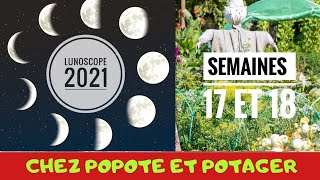 COMMENT JARDINER AVEC LA 🌔 LUNE  Semaines 17 et 18 [upl. by Seravat]