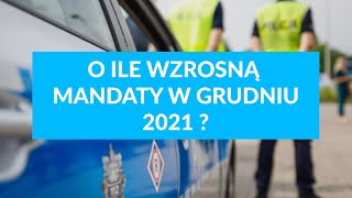 O ile wzrosną mandaty od Grudnia 2021 [upl. by Kahler669]