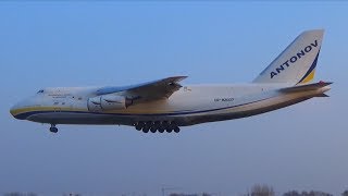 Antonov An124  Landing Hamburg Airport  UR82007 [upl. by Elder]