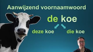 Les 13 Lidwoorden en aanwijzend voornaamwoorden learndutch nederlandsleren nt2 [upl. by Lonna]