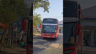 Bus pariwisata 27 transway livery merah diikuti mobil elf ditilungan tajam basuri trukoleng [upl. by Kenwee]