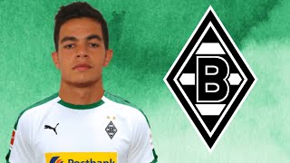 Romain Faivre 2021  Welcome to Borussia Mönchengladbach   Amazing Skills amp Goals  HD [upl. by Fran819]