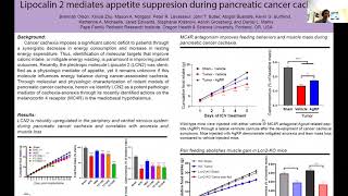 Lipocalin 2 mediates appetite suppression during pancreatic cancer cachexia [upl. by Avirt]