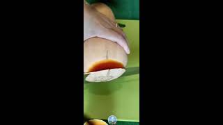 peelingampcutting butternut squash asmr peeling cutting [upl. by Shuping]