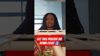 Freezer Frozen Defrost Those DIY Skills [upl. by Marou]