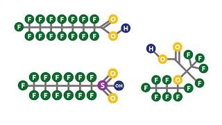 What are PFAS [upl. by Schindler763]