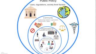 Intro to the Ecological Model [upl. by Lertnek]