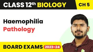 Class 12 Biology Ch 5  Haemophilia Pathology  Principles of Inheritance and Variation 202223 [upl. by Sidra]