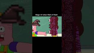 How to beat the wall of flesh in terraria [upl. by Monaco825]