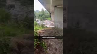 FLOODED RIVER Ogwen TalyBont river flood salmon seatrout nature freshwater fishing fish [upl. by Sug]