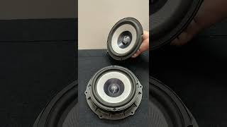 65 inch midbass speaker Berlin Audio shorts [upl. by Naleek]