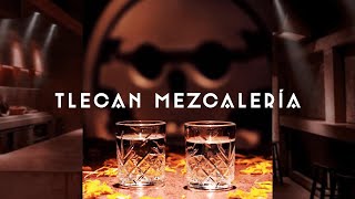 The Coolest Mezcaleria in CDMX  Tlecan Mezcaleria in Roma Norte [upl. by Siegler]