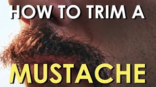 How to Trim Your Mustache  The Art of Manliness [upl. by Idou]