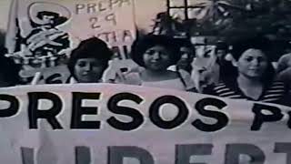 Octaviano santiago Dionisio y Aquilino Lorenzo Presencia de lucha social en Guerrero 1981 [upl. by Petua]