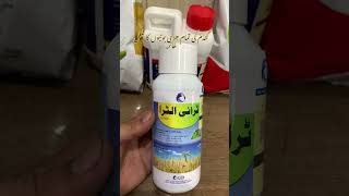 Triultra LCI Weedicide for wheat crop to kill all types of weeds  Kissan Ghar  ICI  Discount [upl. by Collbaith]