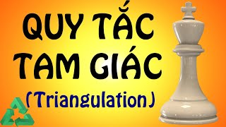 Quy Tắc quotTam Giácquot Trong Cờ Vua [upl. by Annauqahs493]