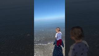 Luna loves the sea 😄shorts short TOTALLTOsmallfamily y [upl. by Hilary]