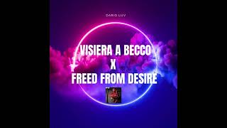 GALA SFERA EBBASTA  VISIERA A BECCO X FREED FROM DESIRE🤯🔥 MASHUP BY DARIO LUV [upl. by Dorraj]