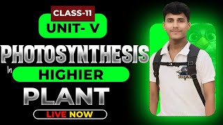 PHOTOSYNTHESIS IN HIGHER PLANTS CLASS 11  NCERT DEEP LINES  COMPLETE NCERT FOR NEET 2025 [upl. by Yro632]