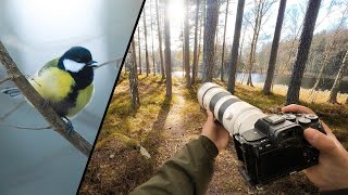 Relaxing POV Nature Photography｜Early Spring Vibes [upl. by Reisfield755]