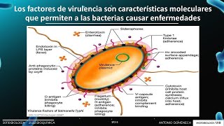 Sesión P2 Microbiología factores de virulencia adhesinas e invasinas [upl. by Dachi114]