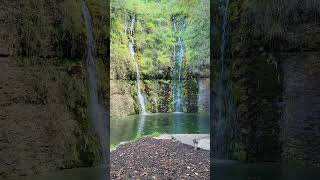 Wishbowl Falls at Dogwood Canyon on Labor Day whitenoise nature [upl. by Arsuy]