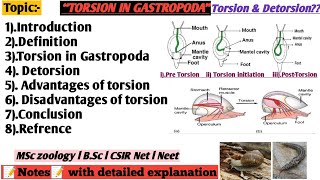 Torsion in gastropoda  Advantage of Torsion  Disadvantages of torsion [upl. by Haidebej628]