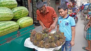 Unique Bengali Spiny Hedgehog Water Fruit Fox Nut  Bangladeshi Street Food [upl. by Annora729]