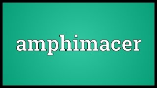 Amphimacer Meaning [upl. by Aillimac979]