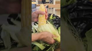 Corn huskingsweetcornshortvideoviral [upl. by Ettenuahs]