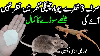 Chipkali bhagane ka tarika  Chipkali marne ka tarika  get rid of mouse  quick Rat killer Trick [upl. by Ojillek349]