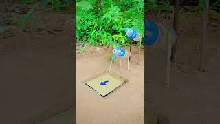 Amazing Parrot bird trap Underground with Cardboard Box birdtrap [upl. by Erapsag]