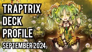 2ND PLACE Traptrix Deck Profile SEPT 2024 [upl. by Lorrimer]