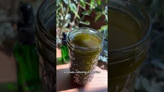 Homemade Eucalyptus Oil recipe [upl. by Crowley]