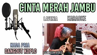 CINTA MERAH JAMBU KARAOKE DANGDUT KOPLO NADA PRIA [upl. by Ricker]